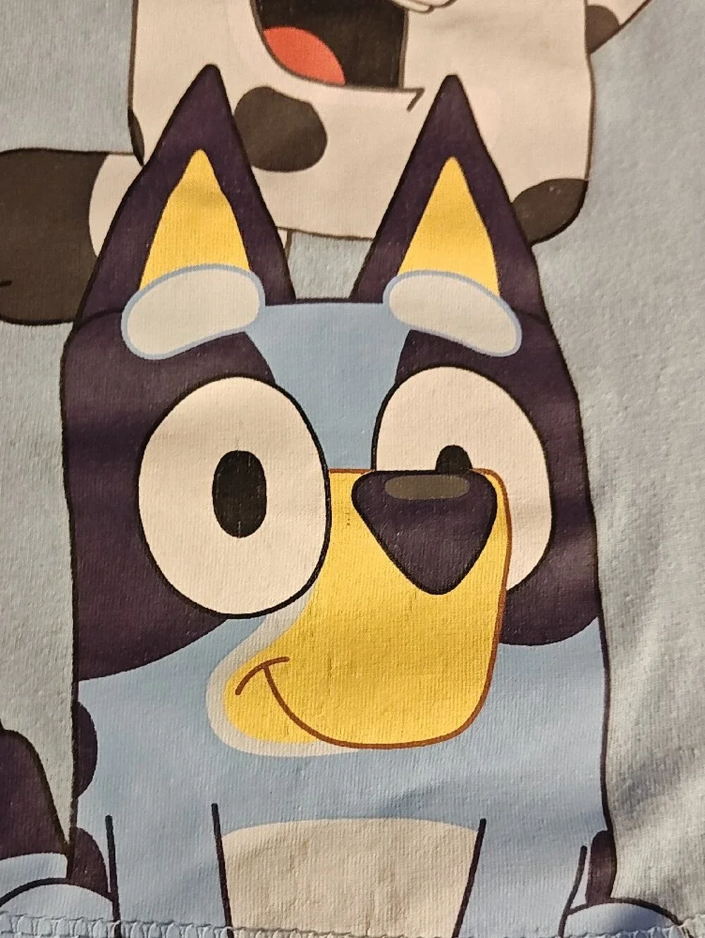 Disney Light Blue Bluey Stack Graphic Tee